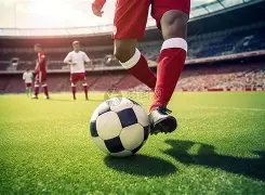 阿森纳官方,报价,拉亚转会费,开云体育,开云体育官网,开云体育app,开云体育app下载